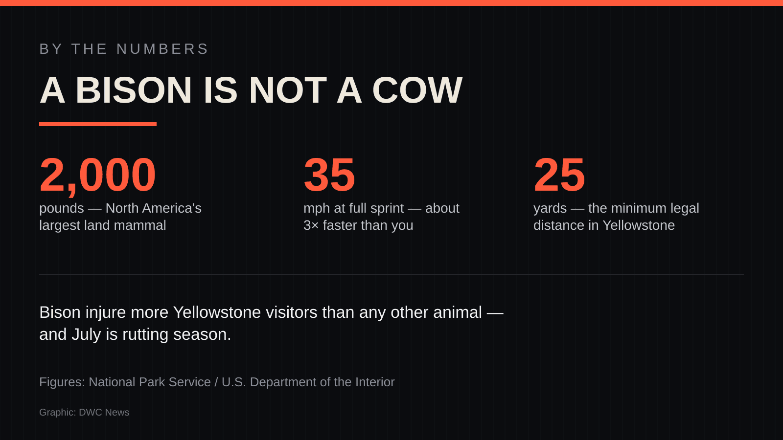 Infographic titled 'A bison is not a cow' showing three figures — 2,000 pounds, 35 miles per hour, and the 25-yard minimum distance rule — with a note that bison injure more Yellowstone visitors than any other animal